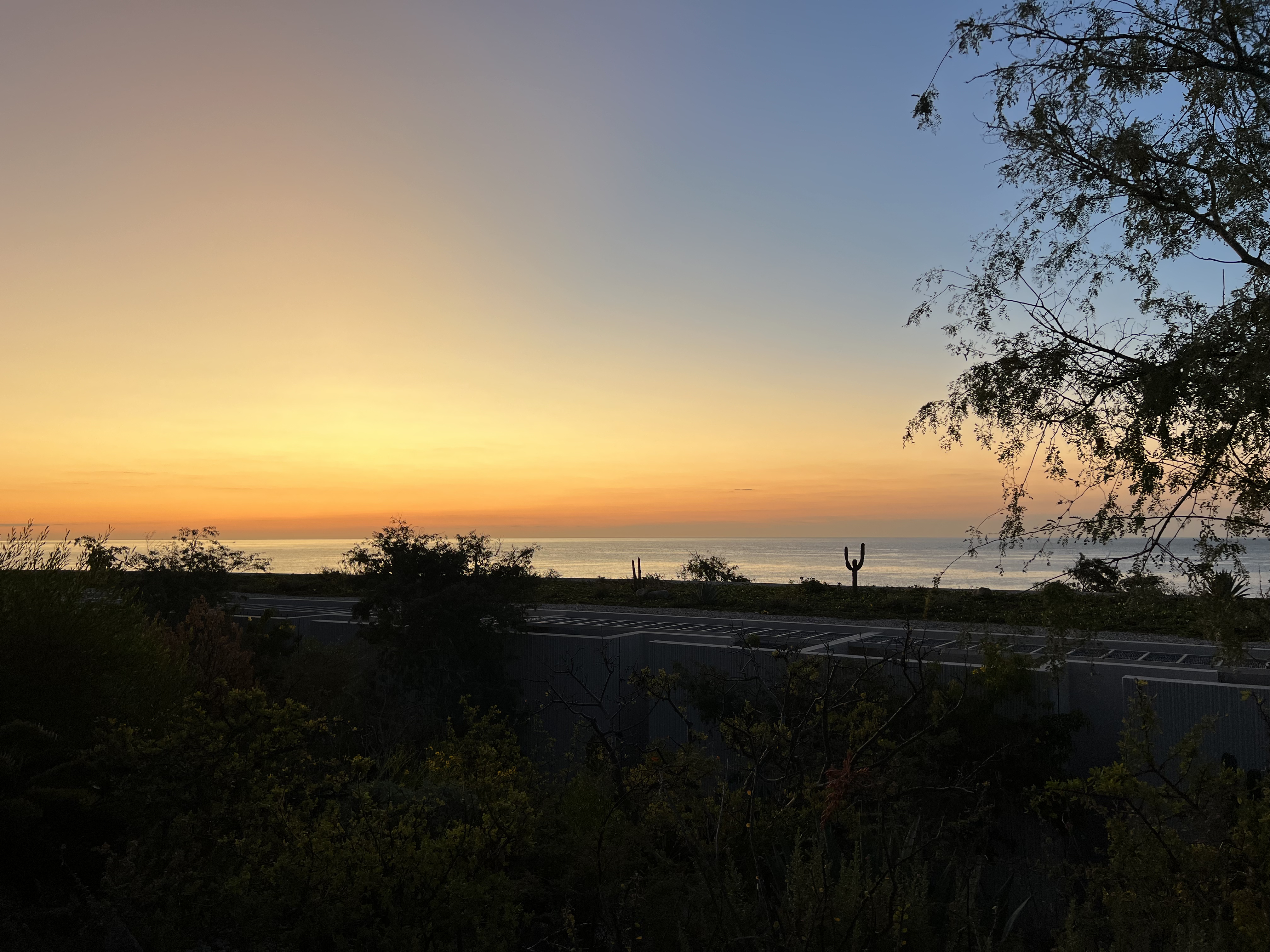 ./2024/13 - Cabo/IMG_4919.jpg